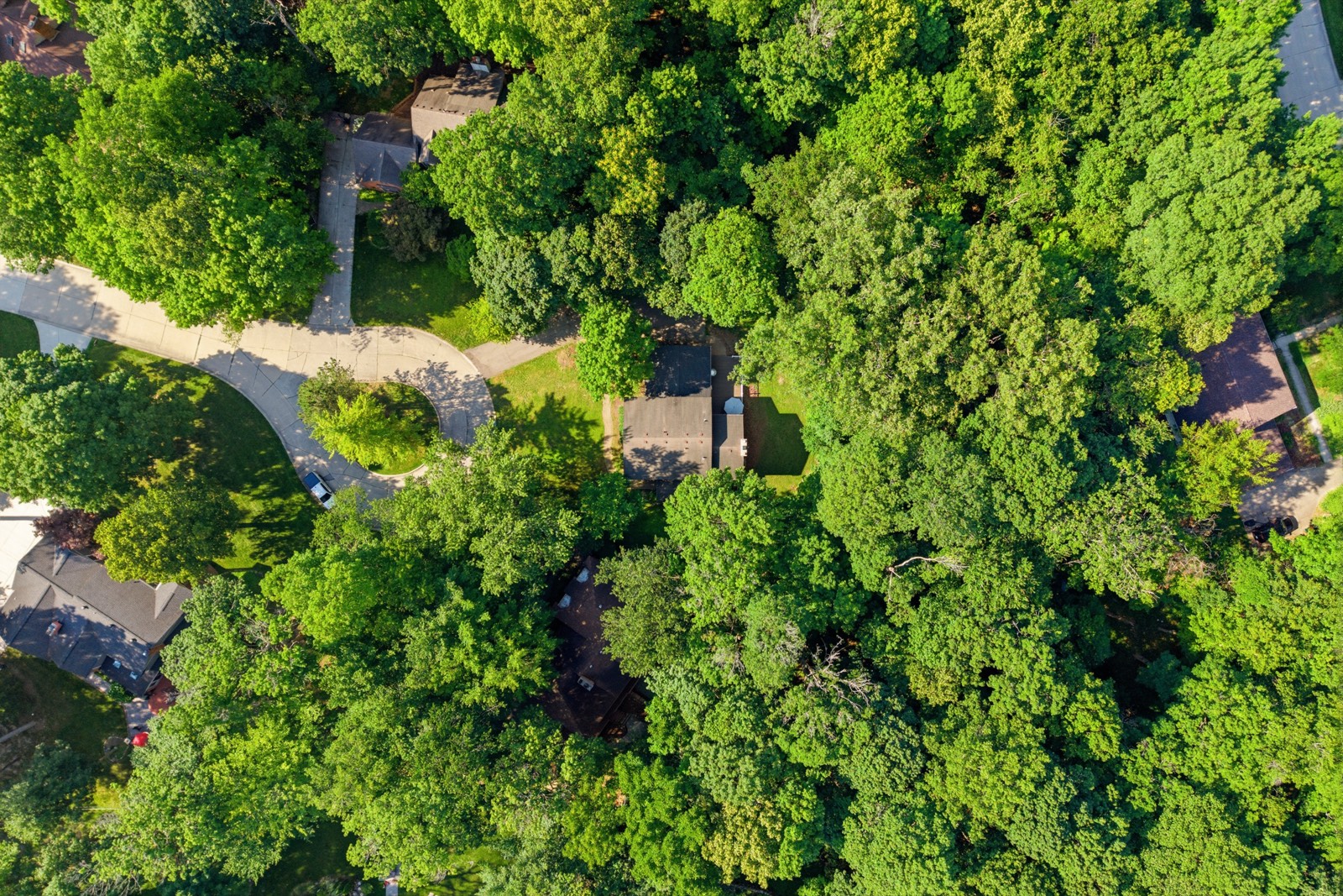 Aerial view of the wooded property